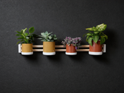 🌿 Planty Planten Houder (Horizontaal)