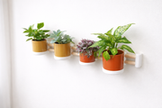 🌿 Planty Planten Houder (Horizontaal)