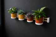 🌿 Planty Planten Houder (Horizontaal)