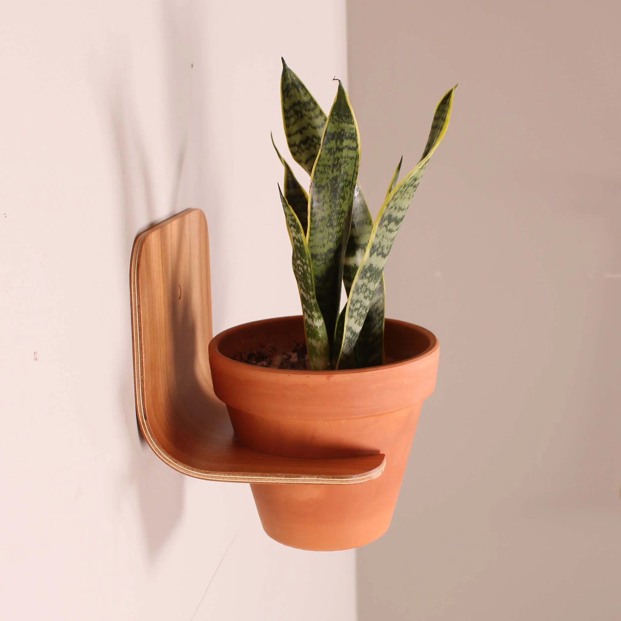 Plant houder muur